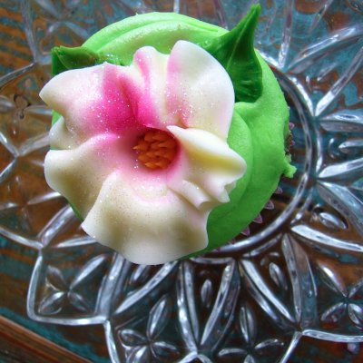 petunia $4.75