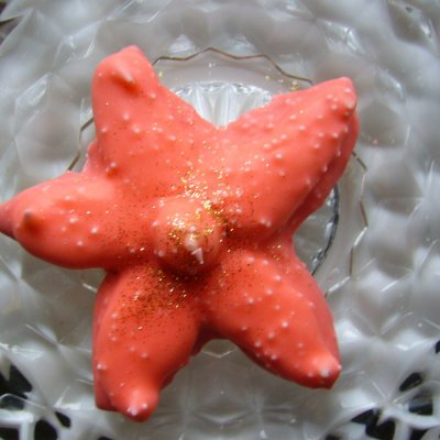 starfish $4.00